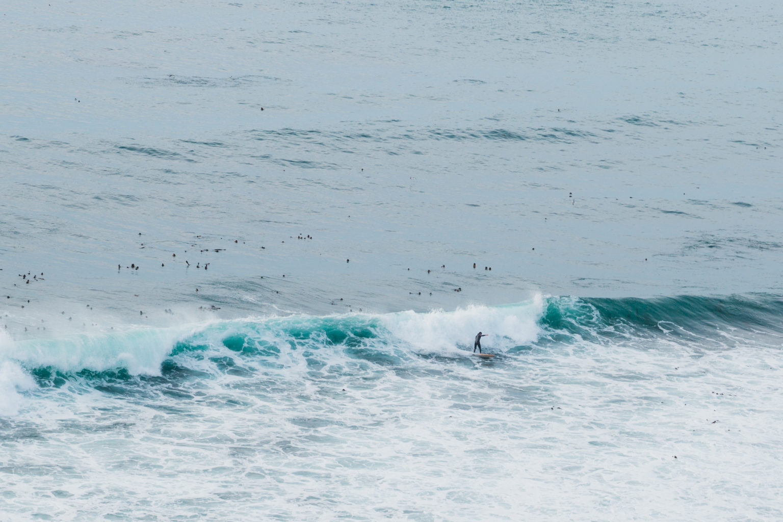 California's Pacific Coast Highway Road Trip